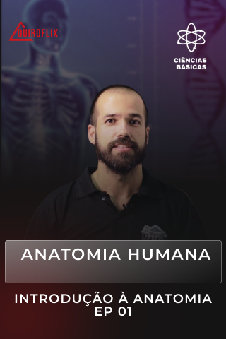 ANATOMIA HUMANA